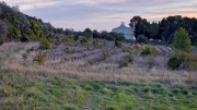 Theziers_26_01-2