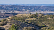Theziers_26_01-22