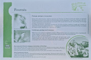 Theziers_26_01-49