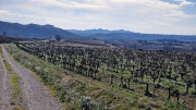 Theziers_26_01-88