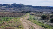 Theziers_26_01-89