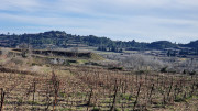 Theziers_26_01-90