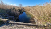 Theziers_26_01-92