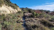 Theziers_26_01-96