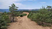 Bondons_26_08-15