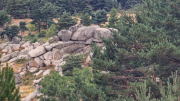 Bondons_26_08-24