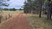 Bondons_26_08-31