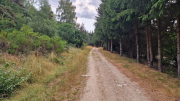 Fee_26_08-2