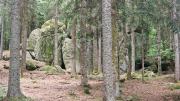 Fee_26_08-31