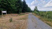 Fee_26_08-35