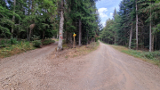 Gardille_26_08-1