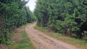 Gardille_26_08-10