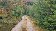 Gardille_26_08-11