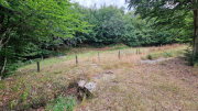 Gardille_26_08-13