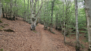 Gardille_26_08-14