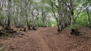 Gardille_26_08-15