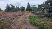 Gardille_26_08-16