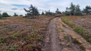 Gardille_26_08-19