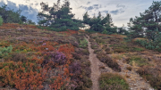 Gardille_26_08-24