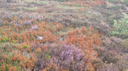 Gardille_26_08-25