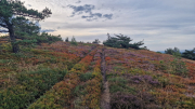 Gardille_26_08-26