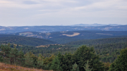 Gardille_26_08-29