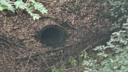 Gardille_26_08-4