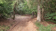 Gardille_26_08-7
