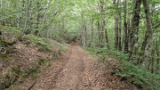 Gardille_26_08-8