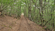 Gardille_26_08-9