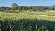La_Beaume_26_08-38
