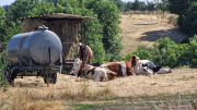 La_Beaume_26_08-7