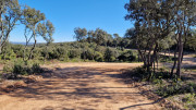 Gardon_26_04-1