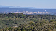 Gardon_26_04-10