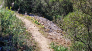 Gardon_26_04-104