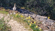 Gardon_26_04-105