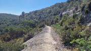 Gardon_26_04-123