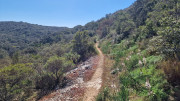 Gardon_26_04-124