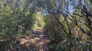 Gardon_26_04-126