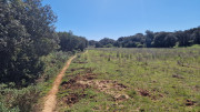 Gardon_26_04-127