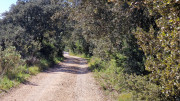 Gardon_26_04-128