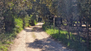 Gardon_26_04-129
