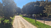 Gardon_26_04-130