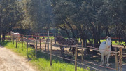 Gardon_26_04-131