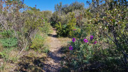 Gardon_26_04-16