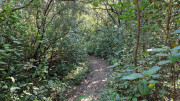 Gardon_26_04-2