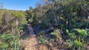 Gardon_26_04-24