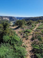Gardon_26_04-27