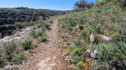 Gardon_26_04-38