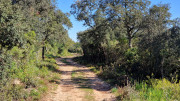 Gardon_26_04-4
